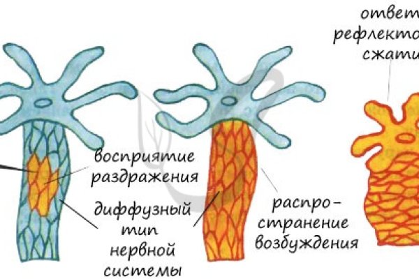 Kraken даркнет маркет